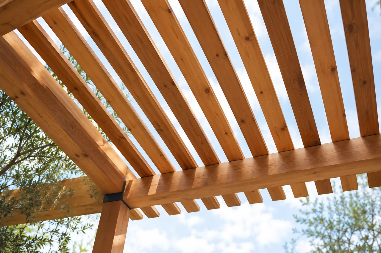 pergolas concept · Grapevine