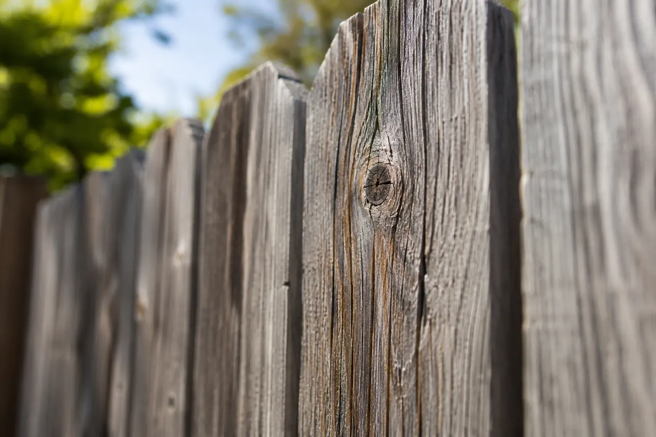Fencing concept · Waxahachie