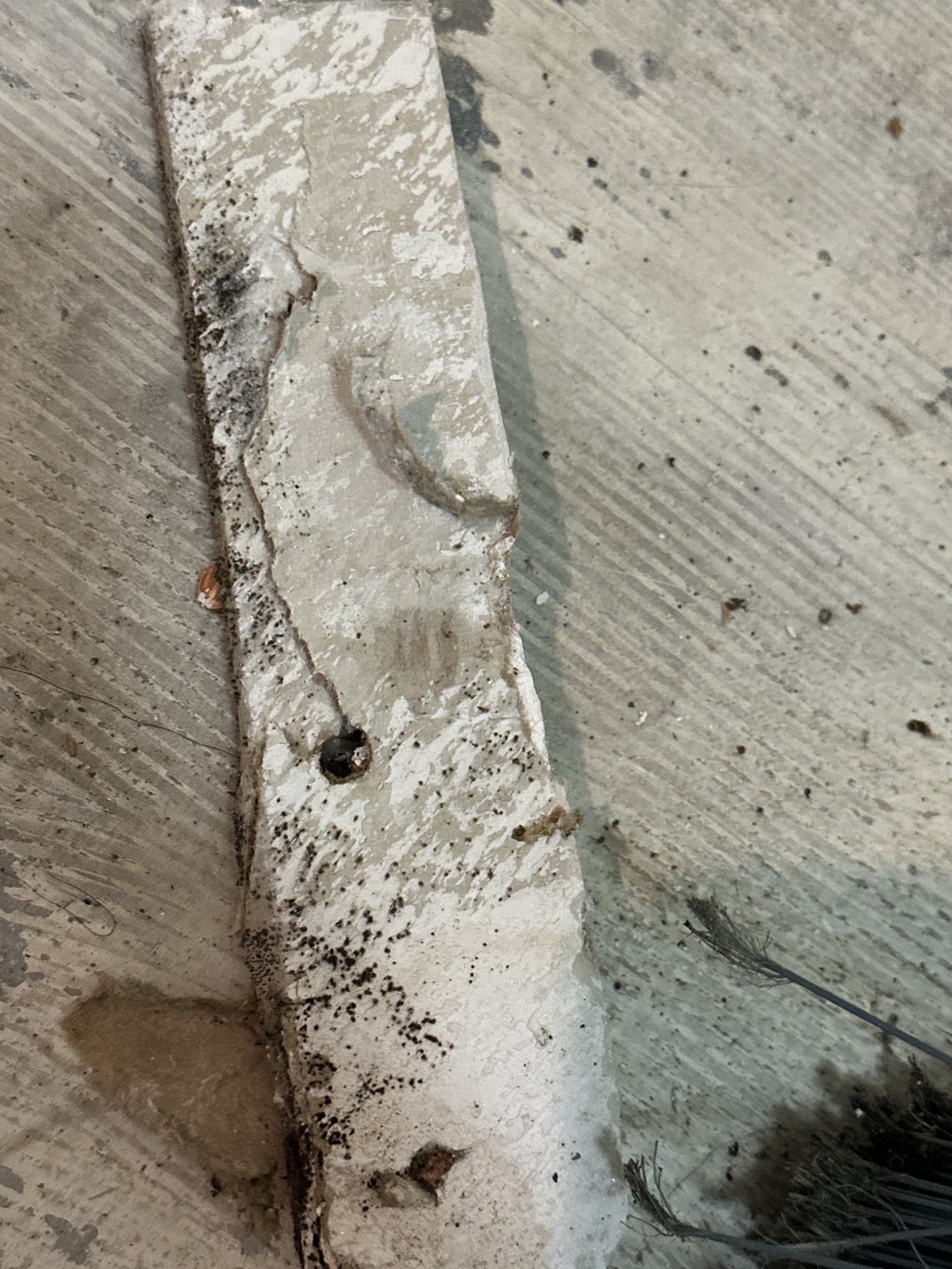Floor perimeter detail from a Luna General Contractors dry-out project in Arlington, Texas