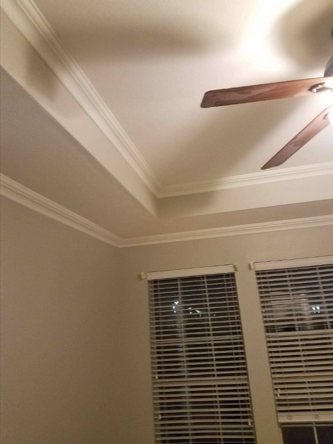 Interior painting with white crown molding and a finished tray ceiling